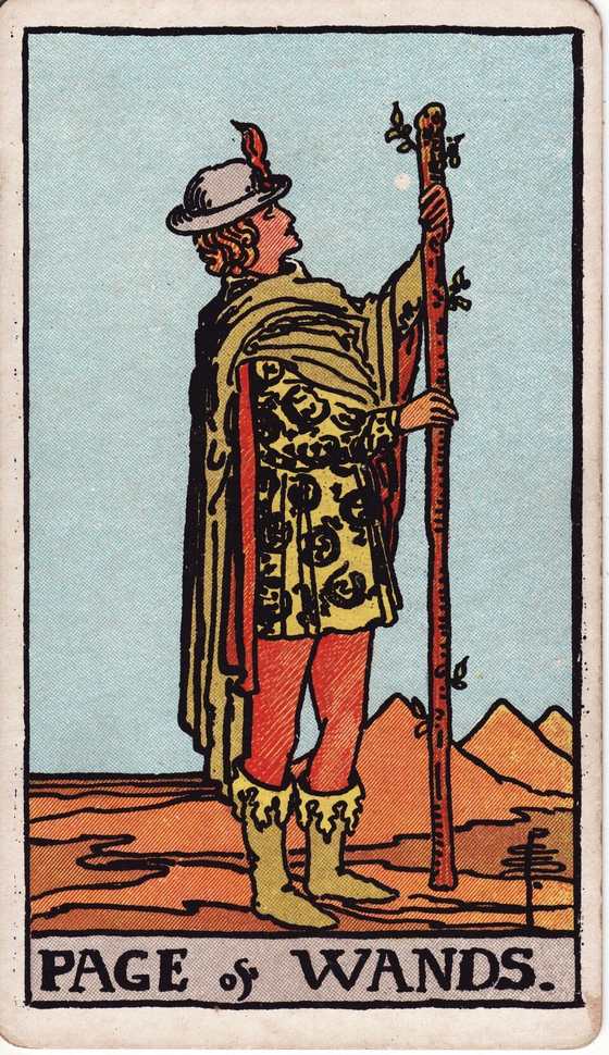 权杖侍从 Rider–Waite–Smith tarot card